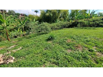 VENTA DE LOTES CAMPESTRES EN LA VIA MORELIA, ALCALA, SECTOR LA SELVA.