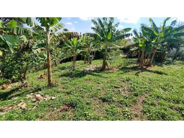 VENTA DE LOTES CAMPESTRES EN LA VIA MORELIA, ALCALA, SECTOR LA SELVA.