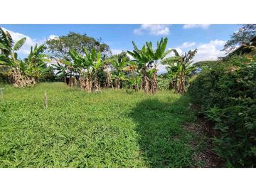 VENTA DE LOTES CAMPESTRES EN LA VIA MORELIA, ALCALA, SECTOR LA SELVA.