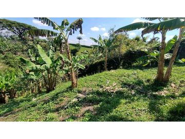 VENTA DE LOTES CAMPESTRES EN LA VIA MORELIA, ALCALA, SECTOR LA SELVA.