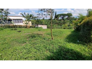 VENTA DE LOTES CAMPESTRES EN LA VIA MORELIA, ALCALA, SECTOR LA SELVA.
