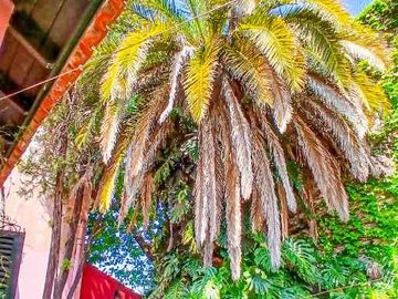 Chalet en venta en Parque Johnston