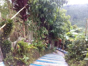 FINCA HOTEL PARA LA VENTA EN MONTENEGRO QUINDIO COLOMBIA