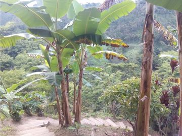 FINCA HOTEL PARA LA VENTA EN MONTENEGRO QUINDIO COLOMBIA