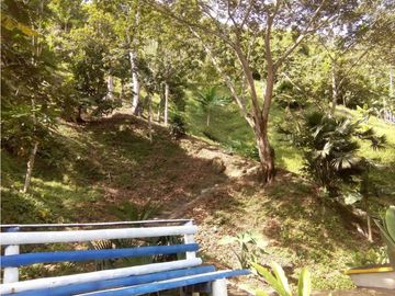 FINCA HOTEL PARA LA VENTA EN MONTENEGRO QUINDIO COLOMBIA