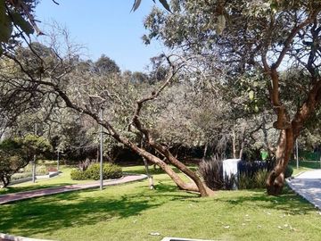 Departamento en Venta en Maranta Bosques; Lomas de Vista Hermosa