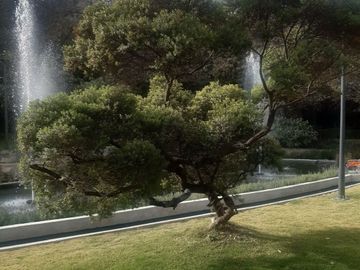 Departamento en Venta en Maranta Bosques; Lomas de Vista Hermosa
