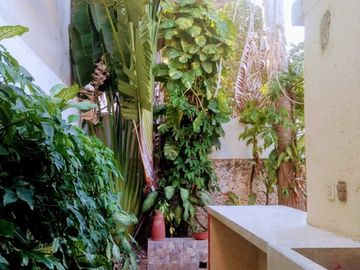 Casa de 4 recámaras en renta o venta en García Ginerés
