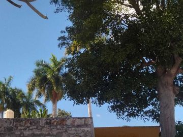Casa de 4 recámaras en renta o venta en García Ginerés