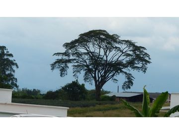 VENTA LOTE CONJUNTO CERRADO SECTOR MURILLO ARMENIA QUINDIO