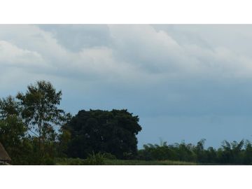 VENTA LOTE CONJUNTO CERRADO SECTOR MURILLO ARMENIA QUINDIO