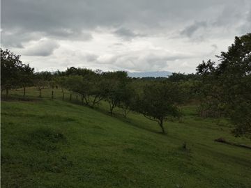 VENTA FINCA VEREDA SAN JOSÉ CORREGIMIENTO PUEBLO TAPAO