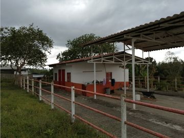 VENTA FINCA VEREDA SAN JOSÉ CORREGIMIENTO PUEBLO TAPAO