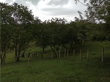 VENTA FINCA VEREDA SAN JOSÉ CORREGIMIENTO PUEBLO TAPAO