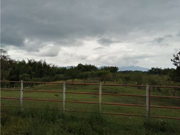 VENTA FINCA VEREDA SAN JOSÉ CORREGIMIENTO PUEBLO TAPAO