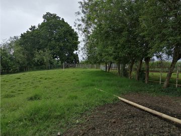 VENTA FINCA VEREDA SAN JOSÉ CORREGIMIENTO PUEBLO TAPAO