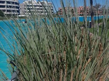 Departamento en venta de 1 dormitorio c/ terraza y cochera en Lagoon Pilar