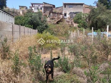 Casa en Venta en Centro de la Serena-Almagro