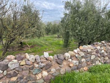 Parcela en Venta en Calle Santa Filomena Comuna Santa Maria Jahuel