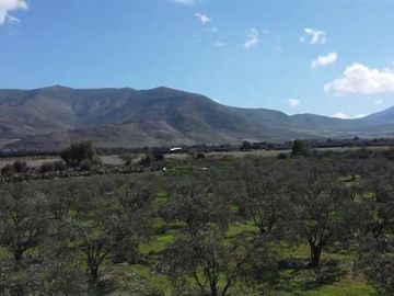 Parcela en Venta en Calle Santa Filomena Comuna Santa Maria Jahuel
