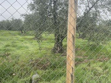Parcela en Venta en Calle Santa Filomena Comuna Santa Maria Jahuel