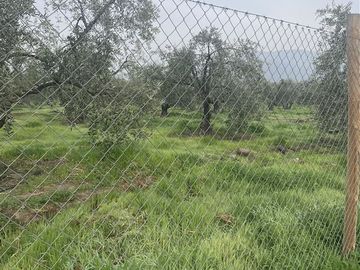 Parcela en Venta en Calle Santa Filomena Comuna Santa Maria Jahuel