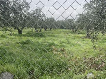 Parcela en Venta en Calle Santa Filomena Comuna Santa Maria Jahuel