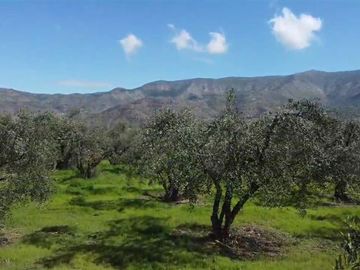 Parcela en Venta en Calle Santa Filomena Comuna Santa Maria Jahuel