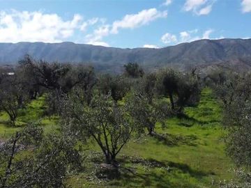 Parcela en Venta en Calle Santa Filomena Comuna Santa Maria Jahuel