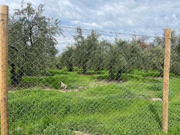 Parcela en Venta en Calle Santa Filomena Comuna Santa Maria Jahuel