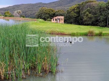 Venta/Renta Loft, Club Hípico Los Monteros, Jilotzingo, Estado de México