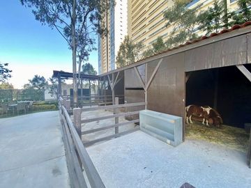 Departamento en venta, Club Residencial Bosques, Bosques de las Lomas