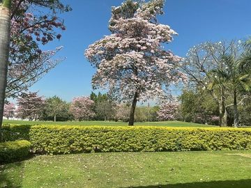 Departamento en venta en Club de Golf Paraíso, Cuernavaca Morelos
