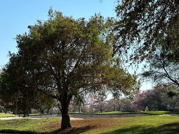 Departamento en venta en Club de Golf Paraíso, Cuernavaca Morelos