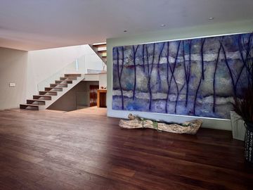 Casa en venta Lomas Virreyes