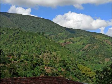 Vendo finca Fredonia Antioquia