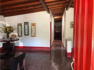 Vendo finca Fredonia Antioquia