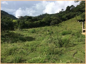 Vendo finca Fredonia Antioquia