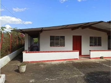 Vendo finca Fredonia Antioquia