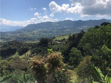 Vendo finca Fredonia Antioquia