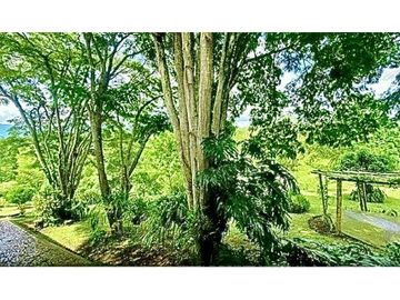 INCOMPARABLE FINCA CON HERMOSA CASA EN DAGUA MUY CERCA A CALI