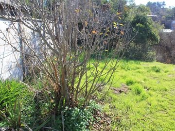 Sitio en Venta en calle Florencia con calle Roosvelt