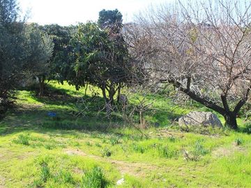 Sitio en Venta en calle Florencia con calle Roosvelt