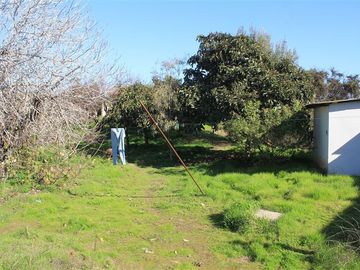 Sitio en Venta en calle Florencia con calle Roosvelt