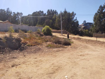 Parcela en Venta en A57500 - Venta Parcela Cooperativa - San Sebastián, Cartagena, Valparaíso 240Mts2