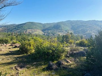 Parcela en Venta en Sector Nirivilo
