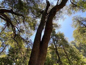 Departamento en Venta en PARQUE NACIONAL ALTOS DEL LIRCAY