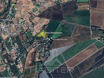 Agrícola en Venta en SECTOR EL LLANO DE RAUCO