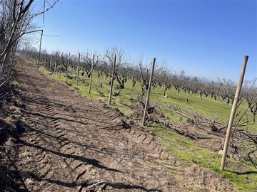 Agrícola en Venta en PARCELA N° 69 DEL PROYECTO DE PARCELACION SECTOR GUAICO UNO COMUNA ROMERAL