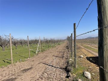 Agrícola en Venta en PARCELA N° 69 DEL PROYECTO DE PARCELACION SECTOR GUAICO UNO COMUNA ROMERAL